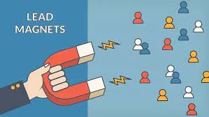 Using powerful lead magnets to incentivize signups and attract subscribers