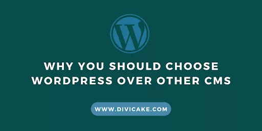 Whether you're new to website creation or a seasoned pro, WordPress welcomes you with endless possibilities.