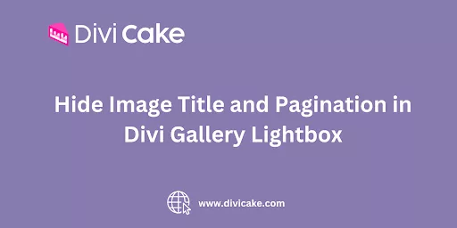 Hiding image titles and pagination in the Divi Gallery Lightbox enhances the viewing experience with a cleaner, streamlined look.
