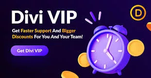 Divi VIP - 24/7 support