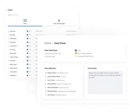 Divi Dash client management tools streamline organization for agencies and freelancers managing WordPress websites.