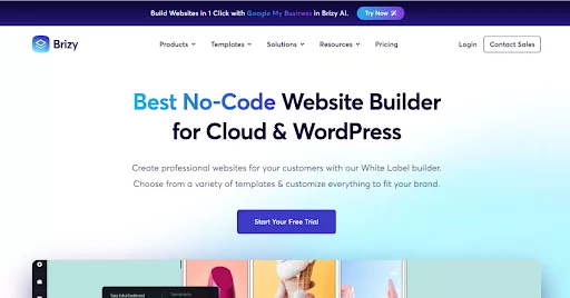 Brizy is a user-friendly website builder featuring real-time editing and pre-designed blocks for easy layout creation.