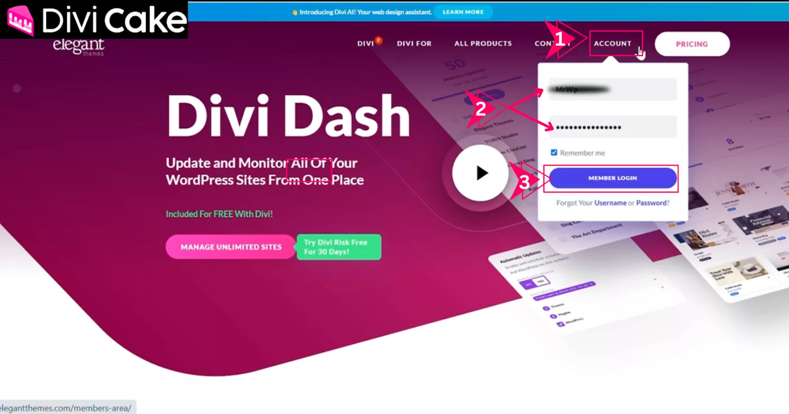Log in to the Elegant Themes website to access Divi Dash, where you can link and manage multiple websites from one dashboard.