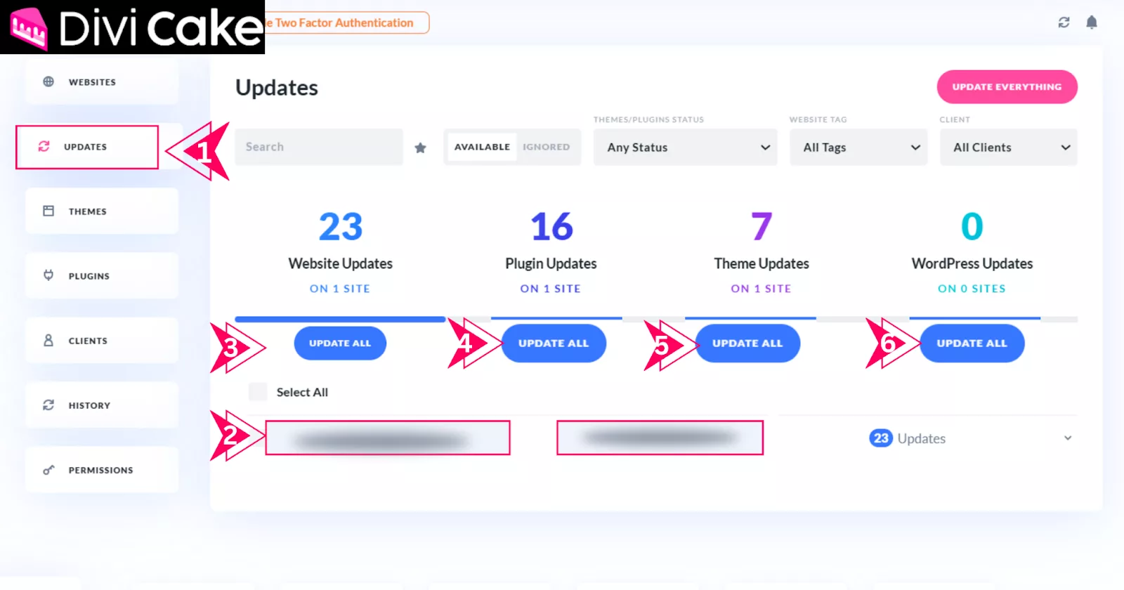Manage updates for websites, plugins, themes, and WordPress in Divi Dash by selecting the respective update options for efficient site maintenance.