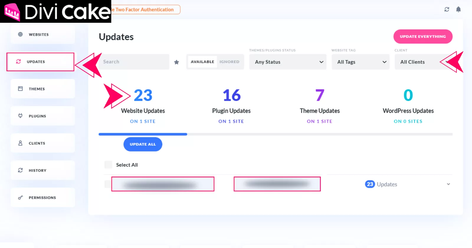 Utilize filtering options in Divi Dash to organize sites by theme or plugin status, tags, and clients, while easily tracking required updates.