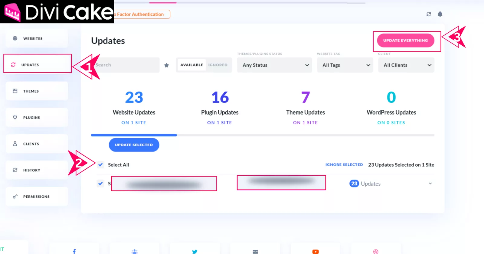 Use the Update Everything button in Divi Dash to quickly update all sites, plugins, themes, and WordPress core at once, saving time and enhancing efficiency.
