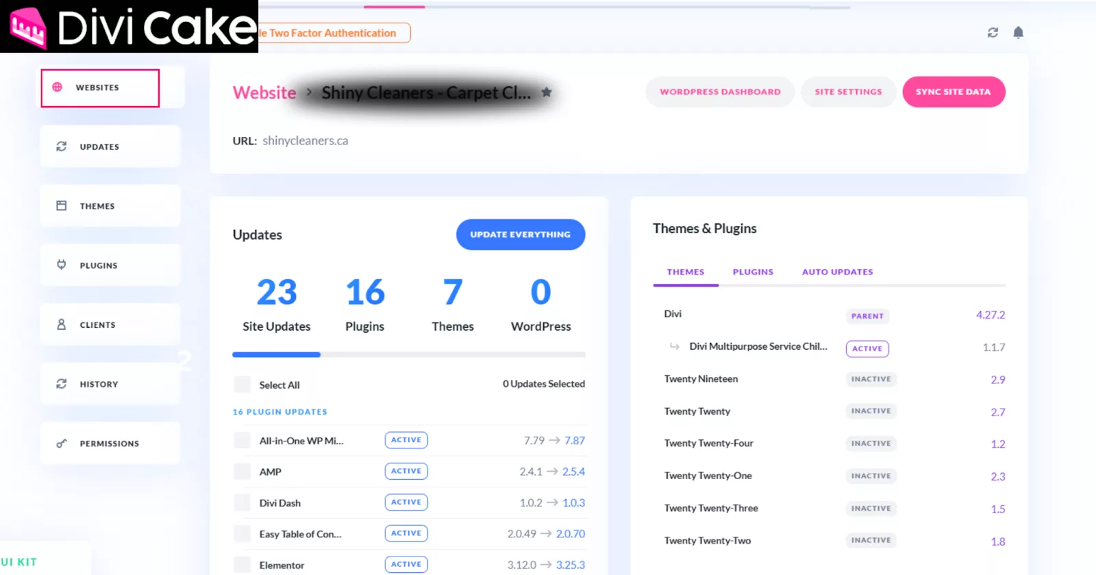 Access the website dashboard in Divi Dash to view themes, plugins, and required updates, facilitating efficient client website management.