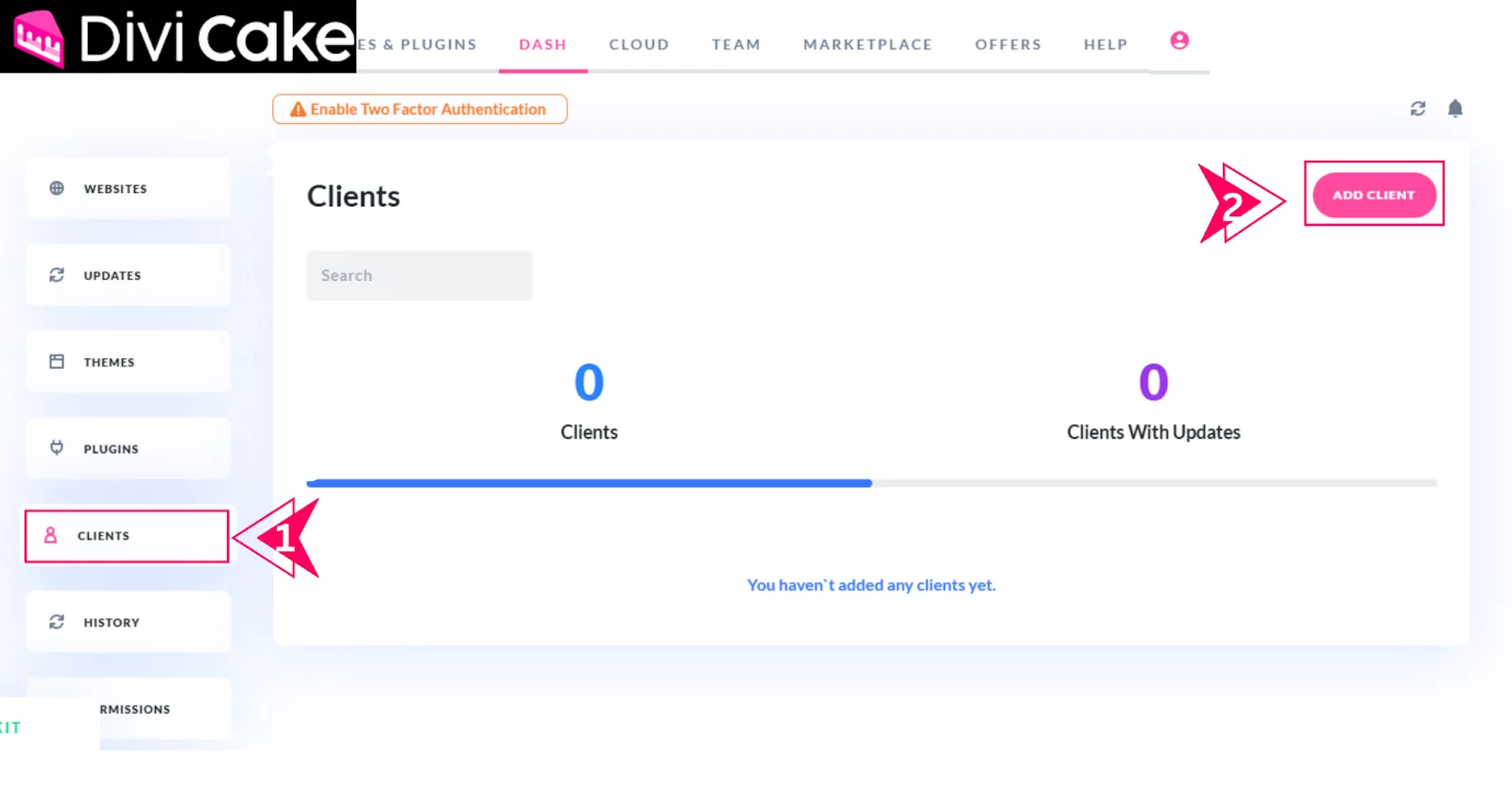 Access the website dashboard in Divi Dash to view themes, plugins, and required updates, facilitating efficient client website management.