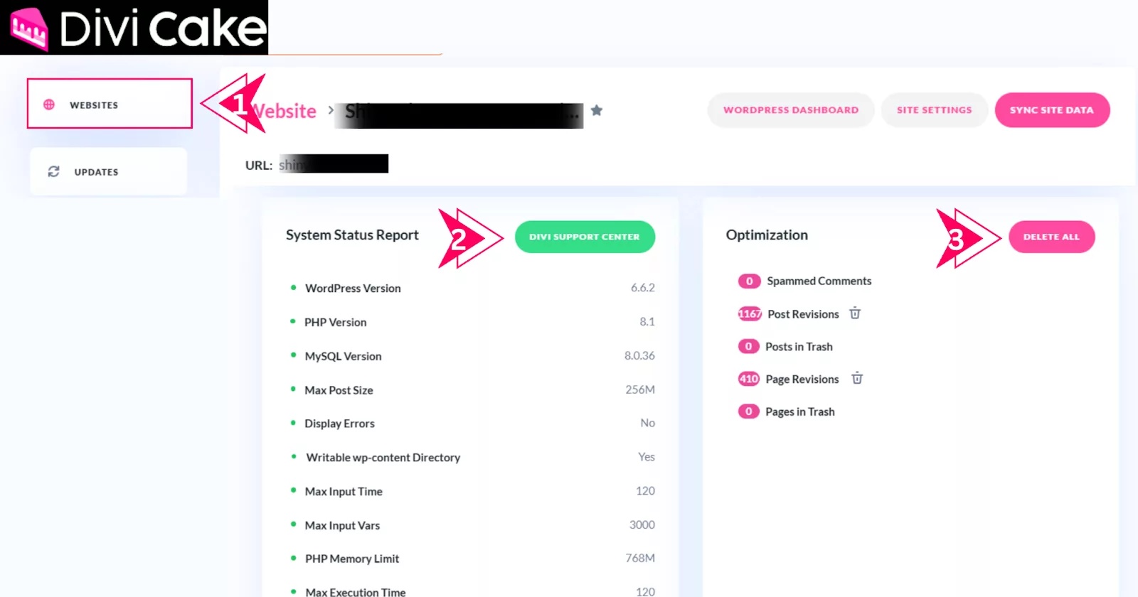 Use Divi Dash to clean your site’s database by removing spam comments, post revisions, and items in the trash, while accessing the Divi Support Center for error resolution.