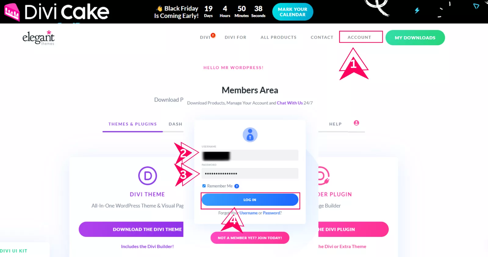 After logging in, the Divi Dash dashboard provides tools to automate WordPress site management. Access website tools via the Dash tab in the member area.