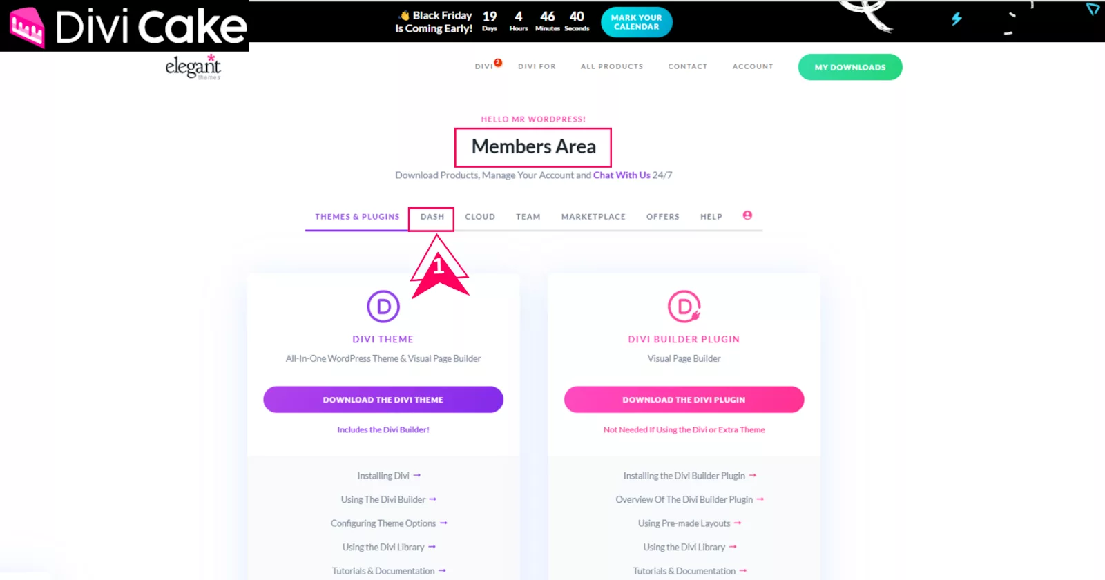 Access the Divi Dash dashboard for automated WordPress site management. Click the Dash tab to manage site updates, monitoring, and overall efficiency.
