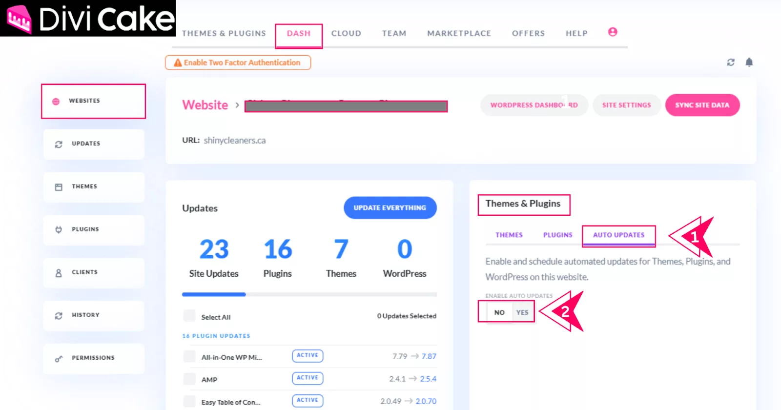 Configure automatic updates in Divi Dash for WordPress themes and plugins to automate WordPress site management, enhancing security and functionality effortlessly.