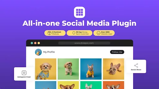 Divi Social Plus plugin for enhanced social media integration with live feeds, customizable carousels, and flexible design options for seamless website and social platform connection.