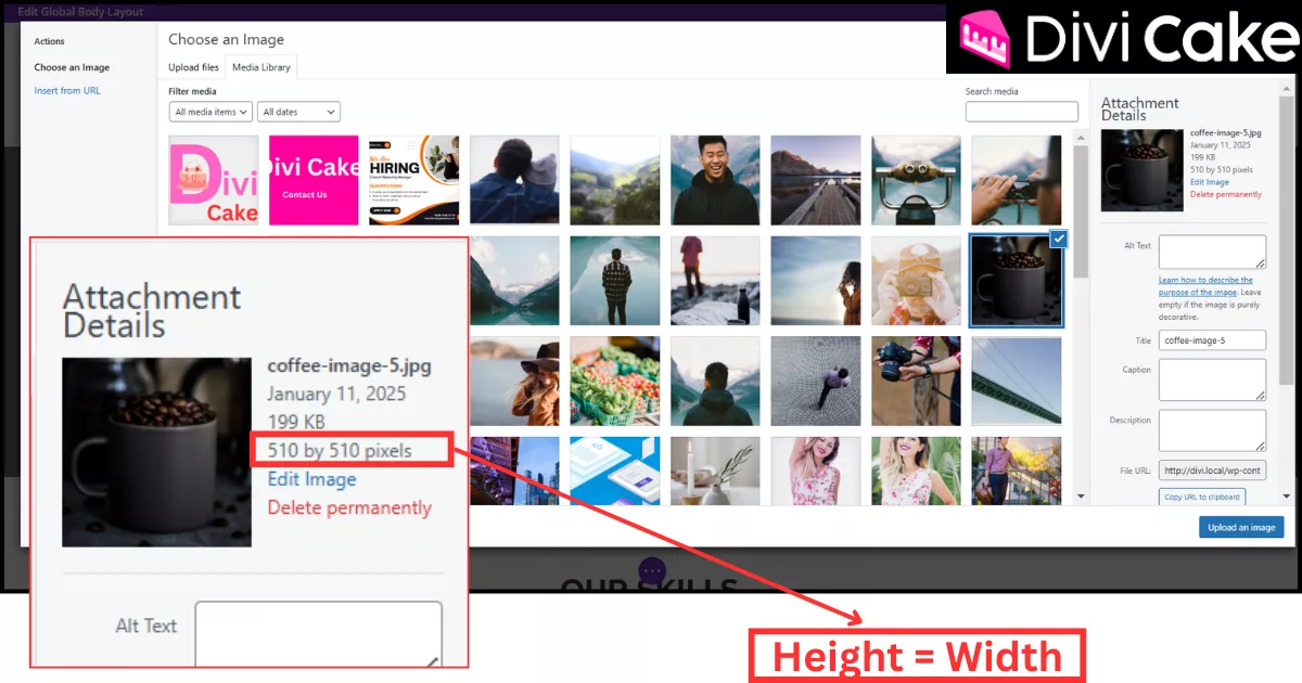 Before cropping Divi images into a circle, ensure the image has equal height and width for a perfect crop. The image in the example shows a 510px by 510px size, essential for achieving a balanced circular shape.