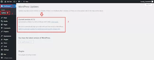View the current WordPress version and available updates in the Updates section of the WordPress dashboard while using Divi.
