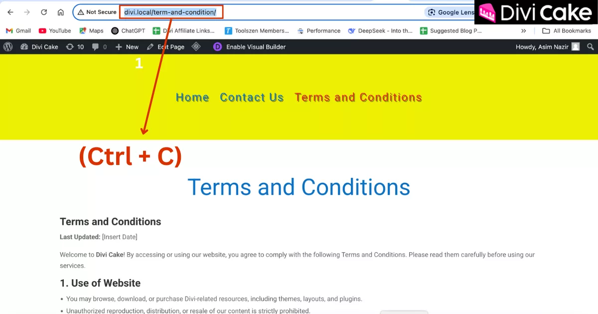Copy the URL of the Terms and Conditions page to create a clickable link in the Divi footer for easy visitor access.