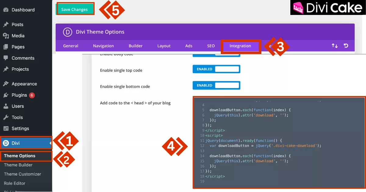 Inserting custom JavaScript code in Divi Theme Options to activate the file download functionality for the button.