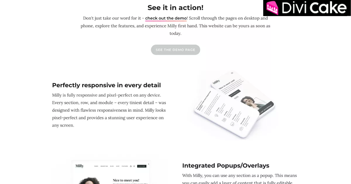 Milly Divi child theme with pre-built templates, responsive layouts, SEO optimization, Divi Builder customization, and unique design elements for modern WordPress websites.