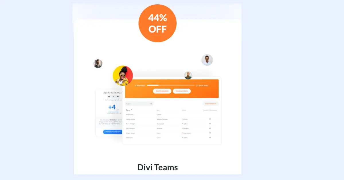 Divi Team Black Friday Discount