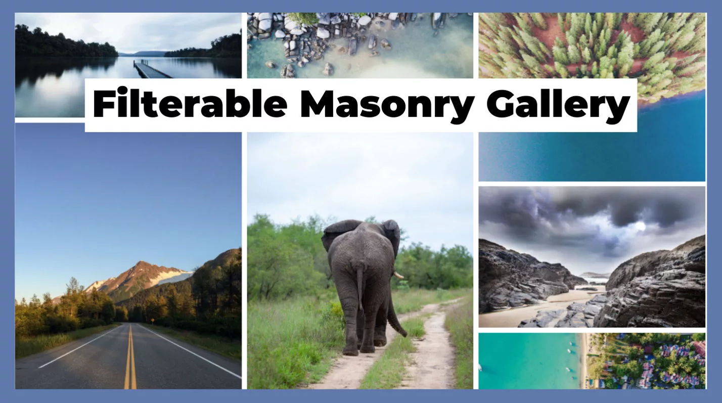 Filterable Masonry Gallery by Daniel Voelk on the Divi Marketplace