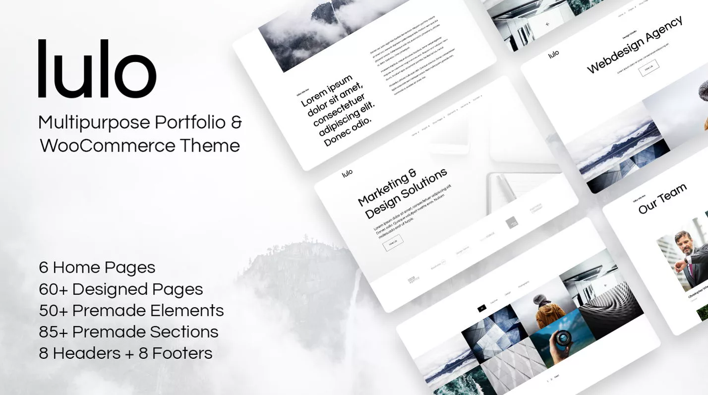 Lulo Multipurpose Theme by Gregory Themes on the Divi Marketplace