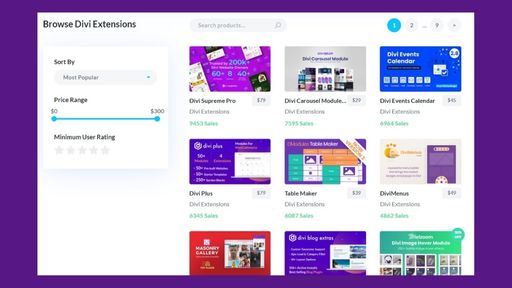 Marketplace listing of Divi Extension 