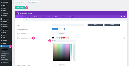 Using the Divi Theme Options for selecting the logo color