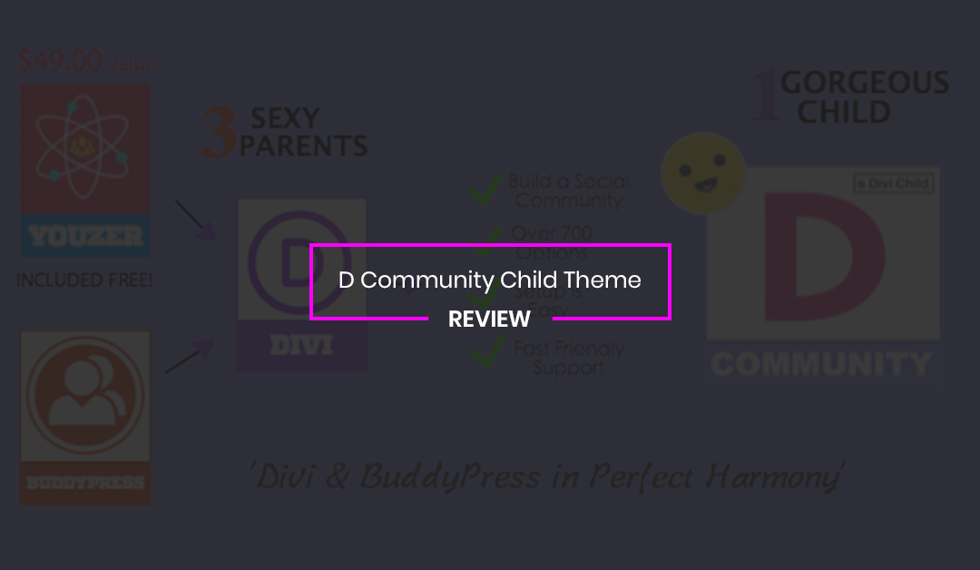 D Community Child Theme Review