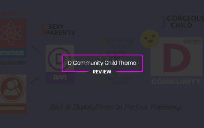 D Community Child Theme Review