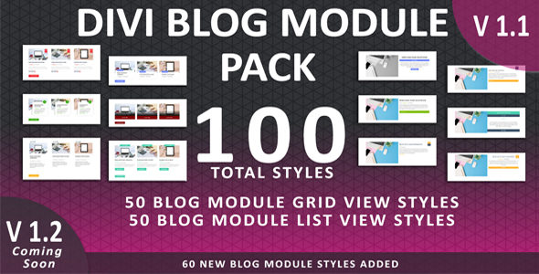 Divi Blog Module Pack on Divi Cake
