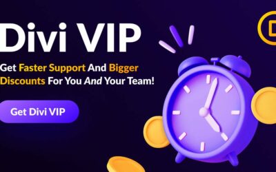 The Perks of Being a Divi VIP: From Standard to Steller