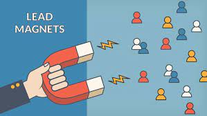 Using powerful lead magnets to incentivize signups and attract subscribers