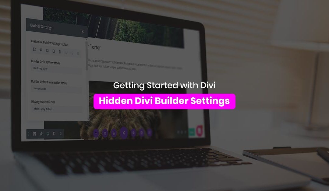 Getting Started with Divi: Hidden Divi Builder Settings