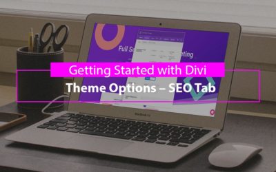Getting Started with Divi: Theme Options – SEO Tab