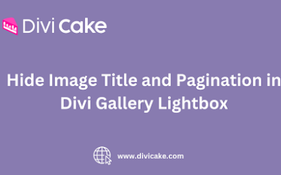 Hide Image Title and Pagination in Divi Gallery Lightbox
