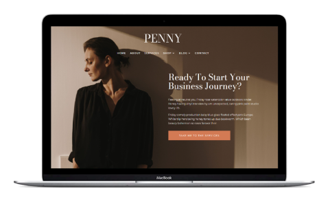 Penny Divi Business Coaching Theme on Divi Cake