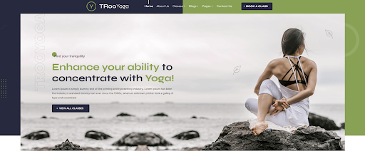 TRoo Yoga, a Premium Divi Child Theme for your WordPress Website