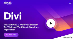 Showcasing Divi's ideal features for non-profit websites.