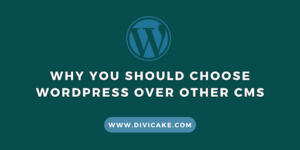 Why You Should Choose WordPress over other CMS