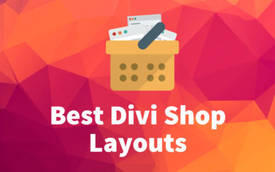6 Best Divi Shop Layouts