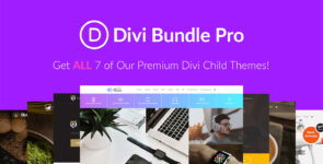 Divi Bundle Pro – 7 Divi Child Themes on Divi Cake