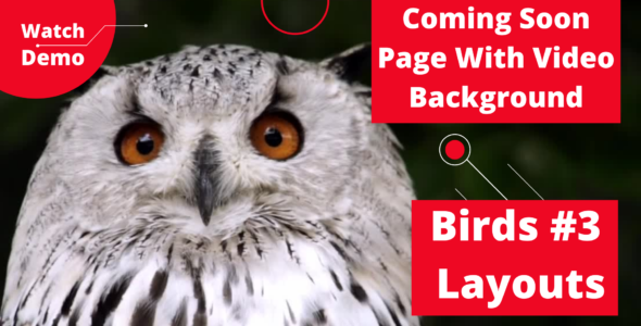 Coming Soon Page Video Birds 3 Layouts on Divi Cake