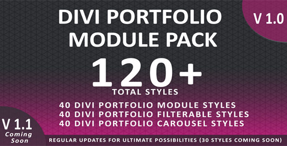 Divi Portfolio Module Pack on Divi Cake