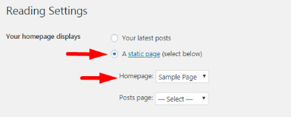 Setting a homepage for a one-page divi website from Reading Settings from WordPress Dashboard