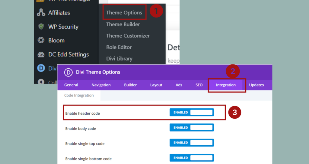 Divi's Theme Options: Enable Header Code to Implement Carousel Code from Integration Tab