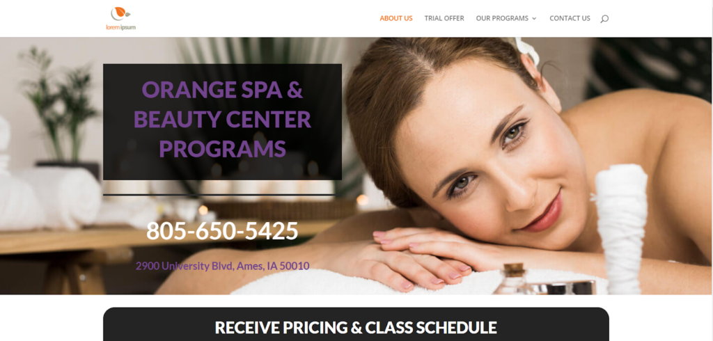 Orange Spa: Divi Theme For Spa, Wellness, and Beauty Businesses, a pre-made premium theme to find information about spa services.