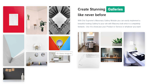 Create stunning galleries with the Masonry Gallery Module in Divi Supreme Pro
