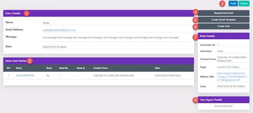 View individual entries using the Divi Contact Form Helper plugin 